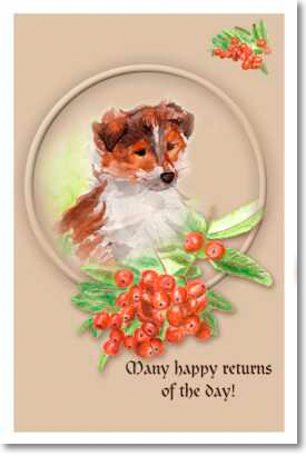 http://dogdraw.narod.ru/collie_puppy_card.jpg